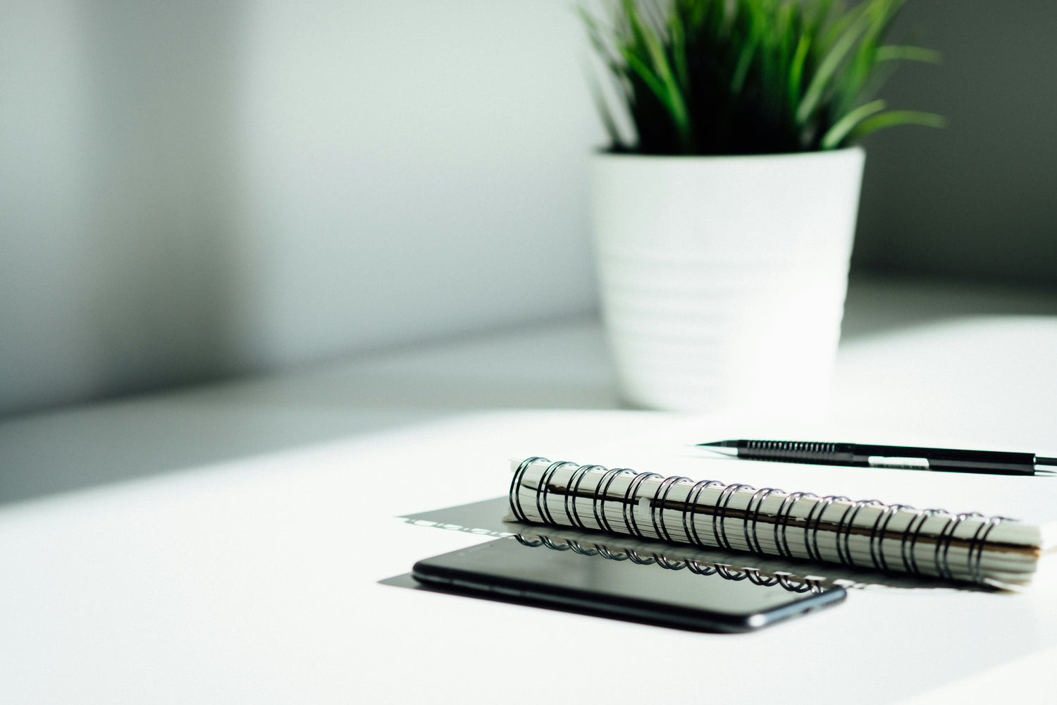 Kuglepind, notesblok, mobil og plante - minimalistisk hjælp med din privatøkonomi